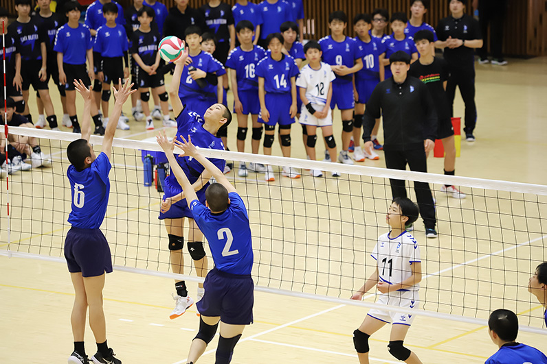 写真：試合中の選手の様子