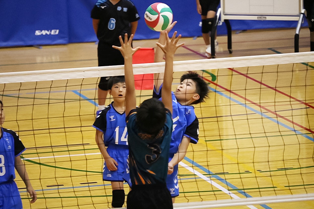 写真：試合中の選手の様子