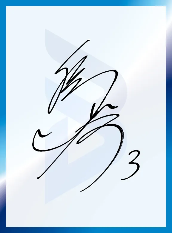Image : Shunsuke Nakamura Signature