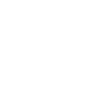 チームロゴ：日本大学