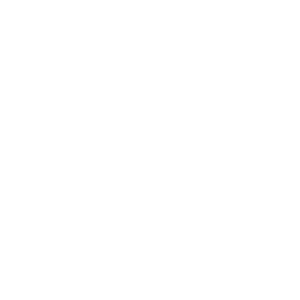 チームロゴ：SUISEN