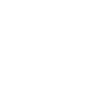 チームロゴ：早稲田大学