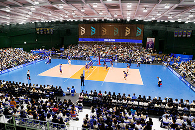 写真：観客席から見た試合の様子