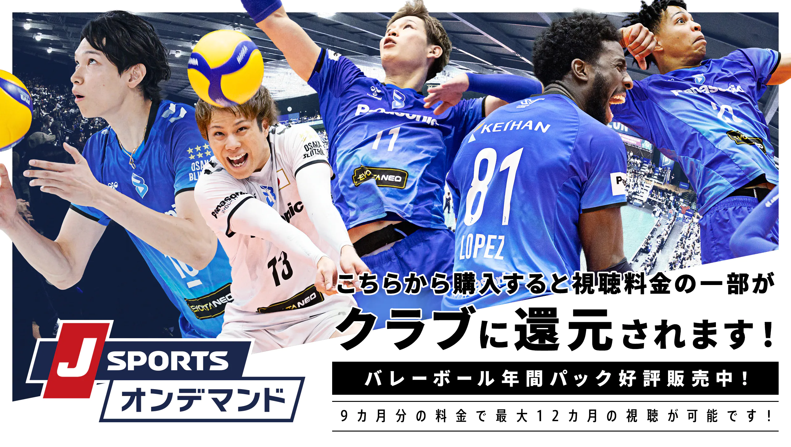 大阪ブルテオン | パナソニック スポーツ | Panasonic