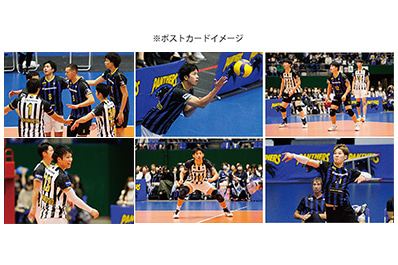写真：第七弾シークレットポストカードのイメージ