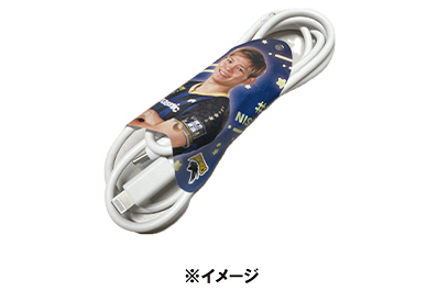 JTサンダーズ広島　パズル型アクリルキーホルダー JT サンダーズ広島 パズル型キーホルダー2022-2023 FCガチャ