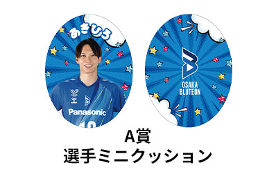 エアーくじA賞:選手ミニクッション